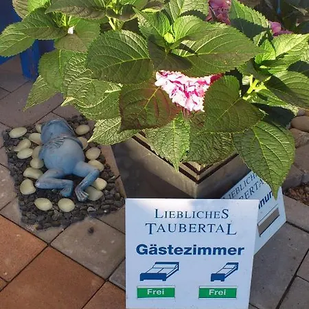 Hotelpension Gaestehaus Birgit Bad Mergentheim