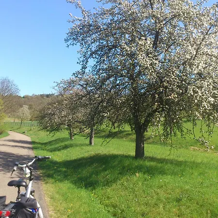 Hotelpension Birgit 3* Bad Mergentheim