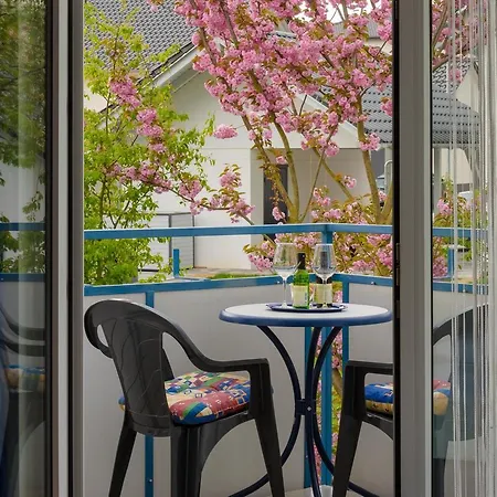 Hotelpension Gaestehaus Birgit Affittacamere Bad Mergentheim