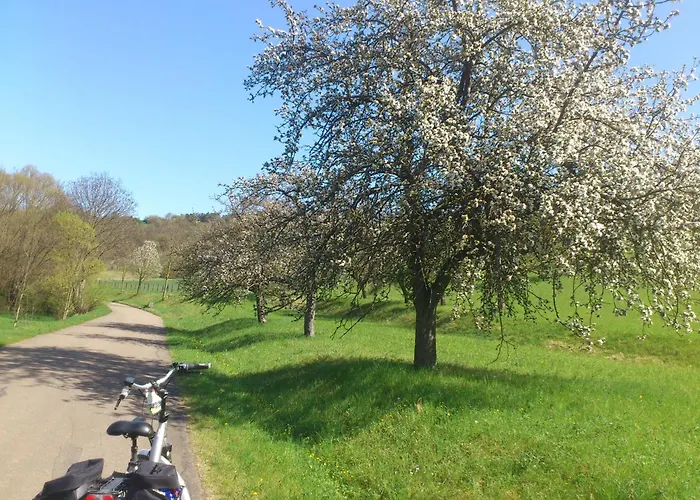 Hotelpension Gaestehaus Birgit 3* Bad Mergentheim